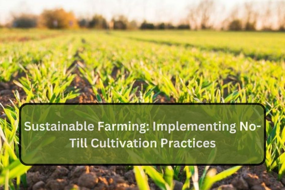 Sustainable Farming: Implementing No-Till Cultivation Practices