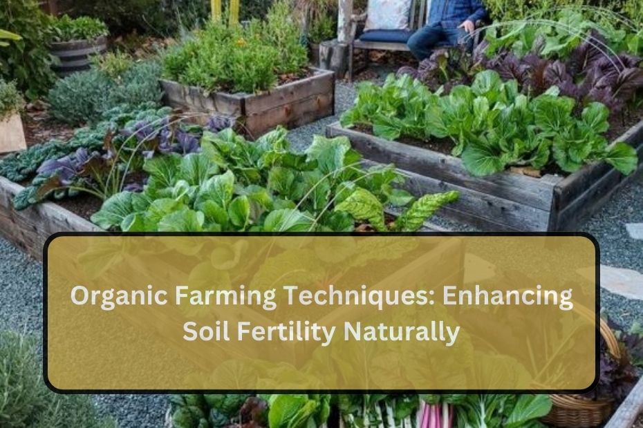 Organic Farming Techniques: Enhancing Soil Fertility Naturally