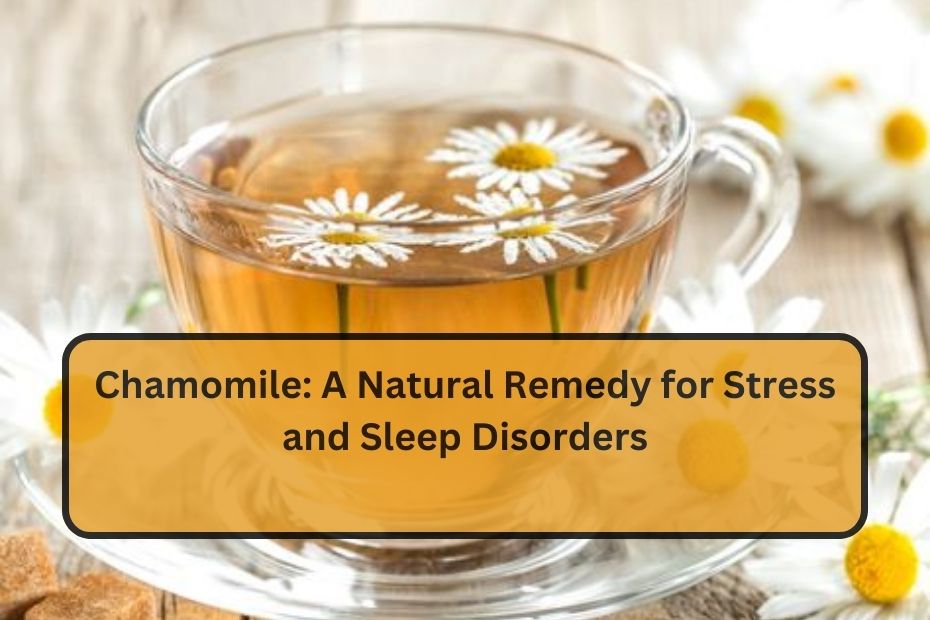 Chamomile: A Natural Remedy for Stress and Sleep Disorders