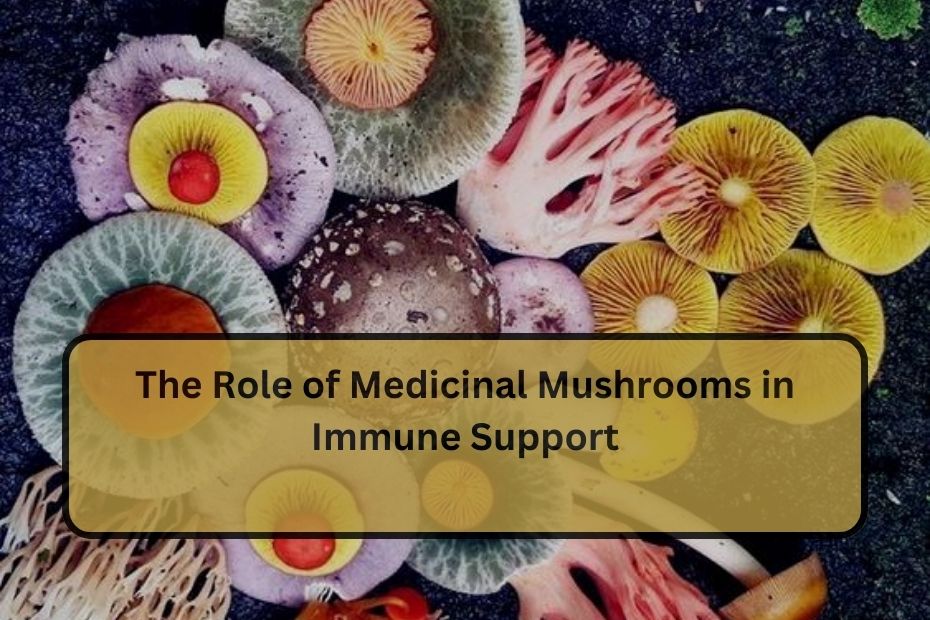 The Role of Medicinal Mushrooms in Immune Support