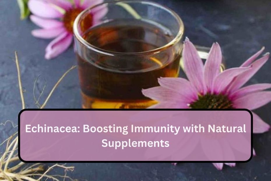 Echinacea: Boosting Immunity with Natural Supplements