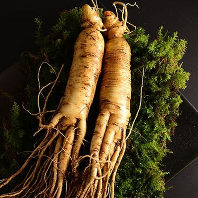 Ginseng