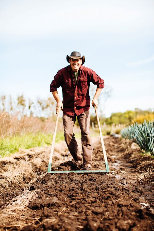 No-Till Cultivation