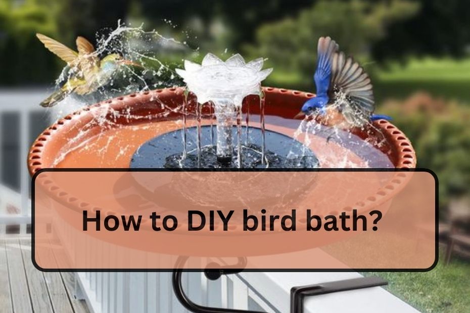 How to DIY bird bath?